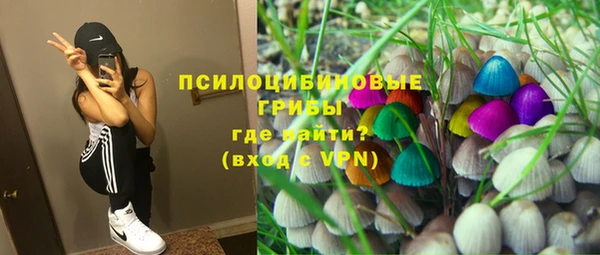 a pvp Арсеньев