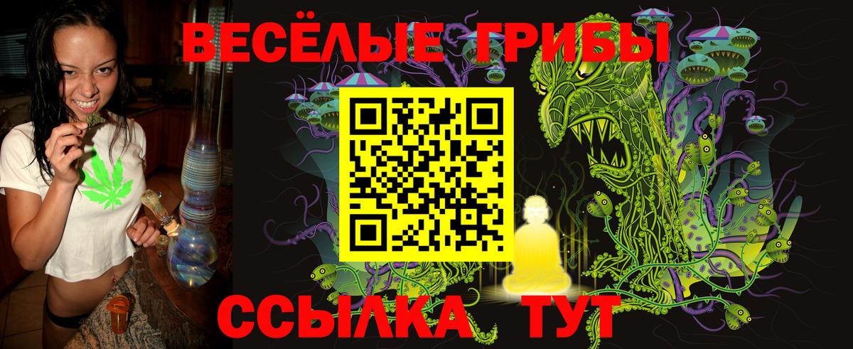 Балашиха  сколько стоит  Псилоцибиновые грибы мицелий  Вход с VPN  Галлюциногенные грибы мухоморы 